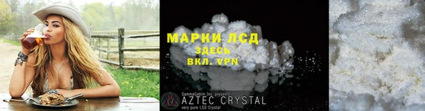 PSILOCYBIN Алзамай
