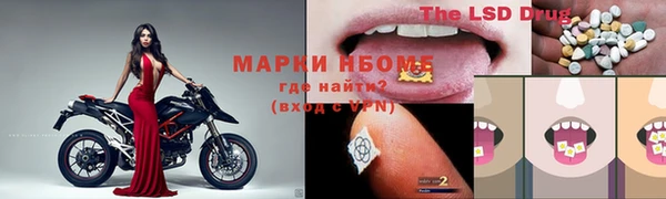 прущие грибы Краснослободск