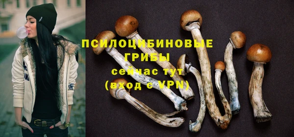 сатива Кукмор
